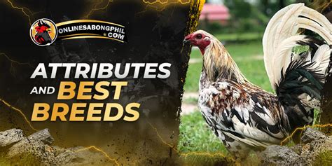 nene abello gamefarm|aej gamefarm.